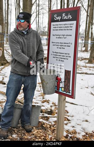 Il contadino spiega come è stato raccolto lo sciroppo d'acero utilizzando secchi e rubinetti di metallo, mentre i visitatori camminano attraverso il sugarbush in una fattoria di sciroppo d'acero durante il Maple Sugar Festival a Mount Albert, Ontario, Canada, il 05 marzo 2022. Il Festival dello zucchero d'acero celebra la produzione di sciroppo d'acero e i prodotti realizzati con sciroppo d'acero e partecipa a molte aziende agricole produttrici di sciroppo d'acero in Ontario e Quebec. Lo sciroppo d'acero è prodotto solo in Nord America. (Foto di Creative Touch Imaging Ltd./NurPhoto) Foto Stock