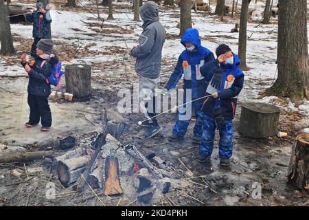 Persone che brinda marshmallows da un piccolo fuoco mentre visitano il sugarbush in una fattoria di sciroppo d'acero durante il Festival dello zucchero d'acero a Mount Albert, Ontario, Canada, il 05 marzo 2022. Il Festival dello zucchero d'acero celebra la produzione di sciroppo d'acero e i prodotti realizzati con sciroppo d'acero e partecipa a molte aziende agricole produttrici di sciroppo d'acero in Ontario e Quebec. Lo sciroppo d'acero è prodotto solo in Nord America. (Foto di Creative Touch Imaging Ltd./NurPhoto) Foto Stock