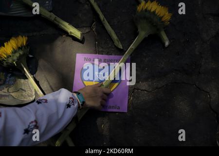 I membri di Amnesty International a Città del Messico collocano i girasoli sul terreno mentre manifestano all'esterno dell'ambasciata russa contro il presidente russo Vladimir Putin, dopo aver ordinato l'avvio di una strategia militare in diverse città ucraine. (Foto di Gerardo Vieyra/NurPhoto) Foto Stock