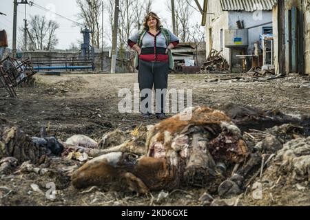 Una donna guarda i suoi animali morti della sua fattoria sgusciata dall'esercito russo a Mala Rohan, Kharkov. (Foto di Celestino Arce/NurPhoto) Foto Stock