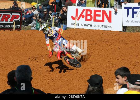 Gajser Tim #243 (SLO) in Honda del Team HRC in azione durante il Portogallo MXGP 2022 il 3 aprile 2022 ad Agueda, Portogallo. (Foto di Jose Mendes / NurPhoto) Foto Stock