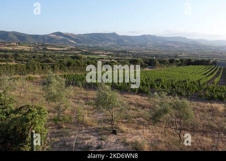 Vista sulla campagna in Sardegna vicino a Valledoria Foto Stock