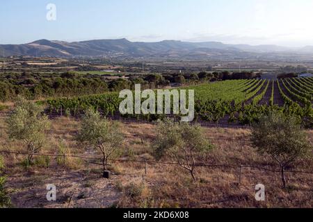 Vista sulla campagna in Sardegna vicino a Valledoria Foto Stock