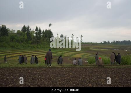 La gente di Kashmiri guarda verso l'area residenziale dove l'incontro è seguito nel distretto di Baramulla di indiano amministrato Kashmir il 22 aprile 2022. Tre militanti sono stati uccisi in una battaglia di 40 ore tra forze indiane e militanti. Tre case residenziali sono state danneggiate durante l'operazione. (Foto di Muzamil Mattoo/NurPhoto) Foto Stock