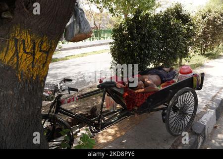 Un uomo dorme sul suo risciò ciclo dal lato della strada sotto un albero in una calda giornata estiva a Nuova Delhi, India il 30 aprile 2022. (Foto di Mayank Makhija/NurPhoto) Foto Stock