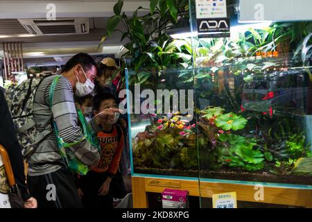 Un padre e un figlio guardano i pesci colorati in un negozio di pesci dell'acquario. Hongkongers ha fatto shopping questo week-end mentre hanno ricevuto i loro buoni consumo. (Foto di Marc Fernandes/NurPhoto) Foto Stock