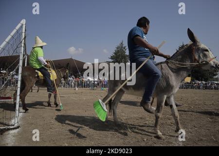 Un gioco di pallanuoto alla Fiera dell'asino in occasione della Giornata Internazionale del lavoro a Otumba, Stato del Messico, dove si sono svolte varie attività per onorare e celebrare l'asino, un animale in pericolo di estinzione, e che per i suoi abitanti ha uno speciale simbolismo con il lavoro arduo ed economico in campagna, in quanto questo comune si trova in una zona e punto di incontro per scambi commerciali come cactus, mais e fagioli, attraverso un relè di asini. (Foto di Gerardo Vieyra/NurPhoto) Foto Stock