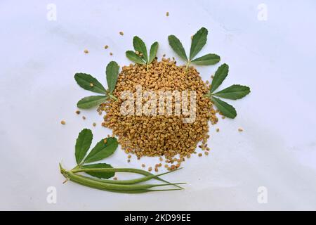Una vista dall'alto dei semi di fieno e delle foglie posate su uno sfondo bianco nella cucina Foto Stock