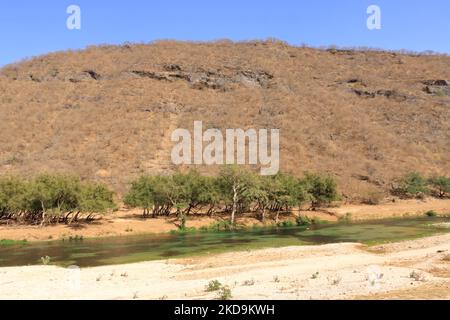 Wadi Dharbat o a volte scritto Darbat, Salalah in Oman Foto Stock