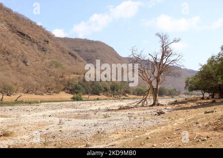 Wadi Dharbat o a volte scritto Darbat, Salalah in Oman Foto Stock