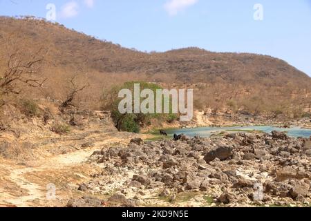Vista sul fiume a Wadi Darbat vicino a Salalah, oman Foto Stock