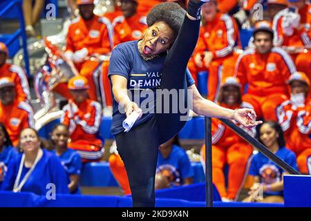 L'attrice Jenifer Lewis fa una spaccatura sul palco alla Florida Memorial University, Centro benessere a Miami Gardens, Florida, Stati Uniti Foto Stock