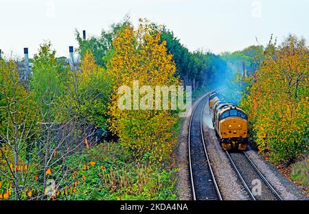 Classe 37401 Mary Queen of Scozzs su treno per il trattamento della testa in treno che si avvicina al Cringhton Road Bridge, York, Inghilterra Foto Stock