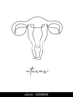 Poster con linea a penna disegno utero in stile linea a penna su sfondo bianco Illustrazione Vettoriale