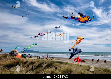 Ogni anno a Otaki Beach i kites escono a giocare a febbraio. Il mare blu con l'isola di Kapiti in lontananza Foto Stock