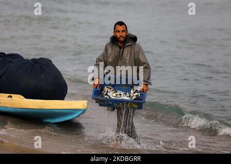 Pescatore palestinese che espone pesci nel Mar Mediterraneo al largo della costa settentrionale della striscia di Gaza, vicino al confine con Israele, il 5 giugno 2022. (Foto di Majdi Fathi/NurPhoto) Foto Stock