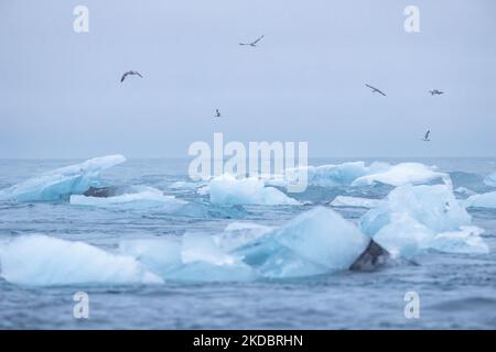 I pezzi di ghiaccio congelati in mare con gli uccelli che volano nel cielo Foto Stock