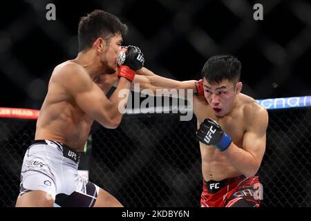 Il Batterel Danaa della Mongolia (R) batte Kyung ho Kang della Corea del Sud nel bantamweight di Mens durante l'evento UFC 275 al Singapore Indoor Stadium il 12 giugno 2022 a Singapore. (Foto di Suhaimi Abdullah/NurPhoto) Foto Stock