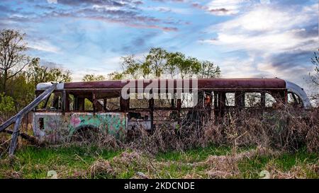 Un vecchio autobus abbandonato si trova arrugginito nelle erbacce di un campo rurale sotto un cielo nuvoloso Foto Stock