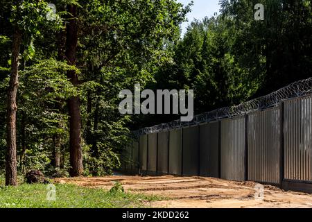 La barriera fisica in acciaio tra la Polonia e la Bielorussia si trova nel mezzo della foresta di Bialowieza il 1 luglio 2022 a Bialowieza, Polonia. Il governo polacco ha deciso di costruire una barriera in acciaio lunga 186 chilometri e alta 5,5 metri con filo spinato sul confine polacco-Bielorussia, che è anche il confine dell'Unione europea e della NATO. La decisione è stata presa dopo che migliaia di migranti, principalmente provenienti dalla Siria, dall'Iraq e dall'Afghanistan, hanno cercato di attraversare la Polonia dalla Bielorussia. Parte della barriera passa attraverso la foresta di Bialowieza. La decisione è stata molto controversa in quanto Bialowieza deserto è uno dei Th Foto Stock