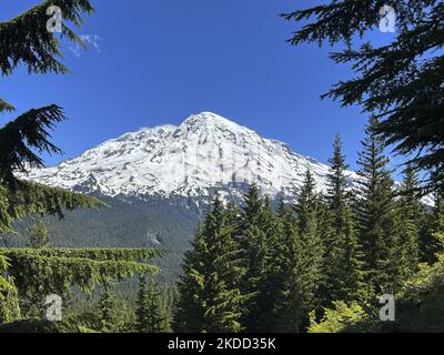 Il Monte Rainier è stato visto dal punto di osservazione di Longmire sul sentiero Wonderland nel Parco Nazionale del Monte Rainier martedì 28 2022 giugno. Salendo a 14.410 metri sopra il livello del mare, Mount Rainier è un'icona nel paesaggio di Washington. Vulcano attivo, il Monte Rainier è il picco più glaciato degli Stati Uniti contigui, che si sta riuscendo da cinque fiumi principali. l Foto di Tom o'Neill (Foto di Thomas o'Neill/NurPhoto) Foto Stock