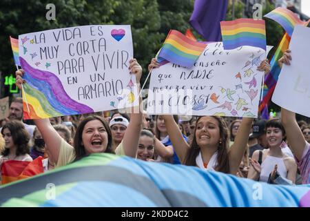 Due giovani che trasportano striscioni di protesta durante la dimostrazione per le strade di Santander (Spagna) per celebrare la giornata di orgoglio LGBTI in città. (Foto di Joaquin Gomez Sastre/NurPhoto) Foto Stock