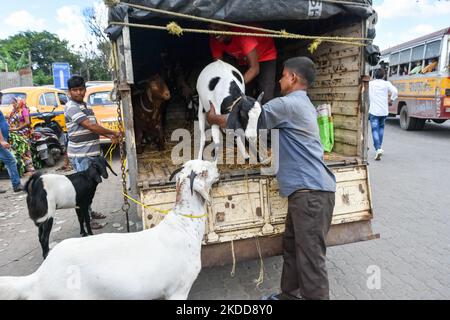 I venditori sono visti scaricare bestiame per la vendita in un mercato temporaneo davanti a Eid-UL-Adha a Kolkata (India) il 7 luglio 2022. (Foto di Debarchan Chatterjee/NurPhoto) Foto Stock