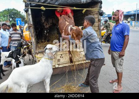 I venditori sono visti scaricare bestiame per la vendita in un mercato temporaneo davanti a Eid-UL-Adha a Kolkata (India) il 7 luglio 2022. (Foto di Debarchan Chatterjee/NurPhoto) Foto Stock