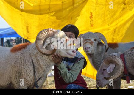 Un ragazzo di Kashmiri abbraccia una pecora in un mercato sacrificale del bestiame davanti a Eid ul Adha a Srinagar, indiano amministrato Kashmir il 08 luglio 2022. (Foto di Muzamil Mattoo/NurPhoto) Foto Stock