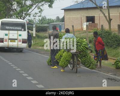 (Vicino) Kigali, Ruanda, 28th agosto 2022 piantagione manuale di trasporto di banane, Ruanda. Foto Stock