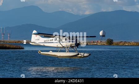 Richmond, British Columbia, Canada. 1st Nov 2022. Un floatplane De Havilland Canada Beaver (DHC-2 Mk. I), appartenente ai Gulf Island Seaplani, arriva a terra all'Aeroporto Internazionale di Vancouver, situato sul Fiume Fraser, adiacente al Terminal Sud dell'Aeroporto Internazionale di Vancouver. (Credit Image: © Bayne Stanley/ZUMA Press Wire) Foto Stock