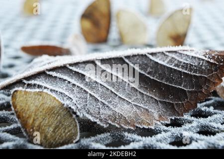 Impressioni invernali nella Sauerland nel dicembre 2016, Germania Foto Stock