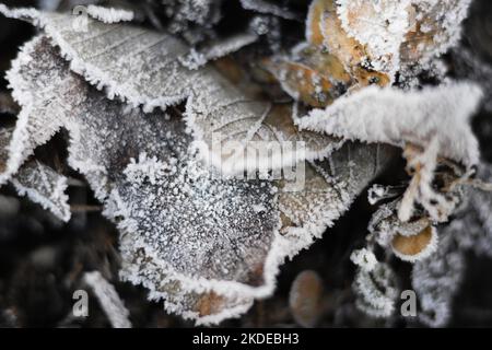 Impressioni invernali nella Sauerland nel dicembre 2016, Germania Foto Stock