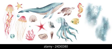Acquerello con animali marini isolati. Set vita marina. Vita marina dipinta a mano. Foto Stock