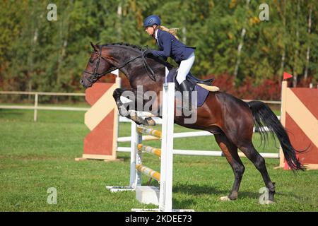 Ragazza equestre con cavallo di salto ostacolo sportivo Foto Stock