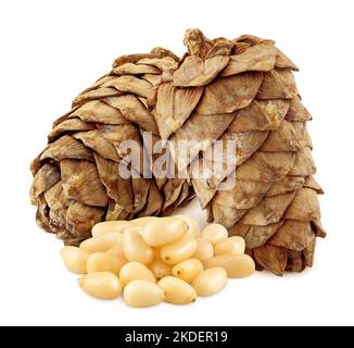 cono di cedro, noci, isolato su sfondo bianco, percorso di ritaglio, profondità di campo completa Foto Stock