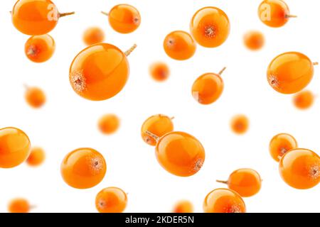 Falling Sea Buckthorn isolato su sfondo bianco, fuoco selettivo Foto Stock