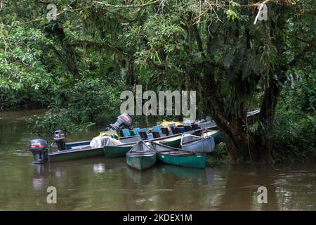 Trasporto fluviale nella foresta pluviale amazzonica ecuadoriana fotografato presso la riserva Cuyabeno Ecuador Foto Stock