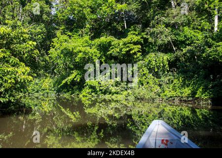 Trasporto fluviale nella foresta pluviale amazzonica ecuadoriana fotografato presso la riserva Cuyabeno Ecuador Foto Stock