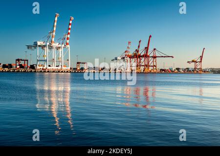 Enormi terminal delle gru al porto di Fremantle. Foto Stock