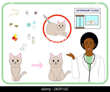Un insieme di clinica veterinaria: Zecche, pulci, virus e farmaci, medico, gatti, animali Foto Stock