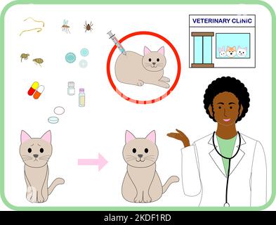 Un insieme di clinica veterinaria: Zecche, pulci, virus e farmaci, medico, gatti, animali Foto Stock