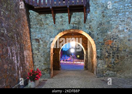 La porta di Varsavia e un frammento delle mura della città vecchia di Opatow. Foto Stock