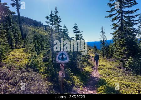 Camminando lungo il Pacific Crest Trail, Sierra City, California, Stati Uniti Foto Stock