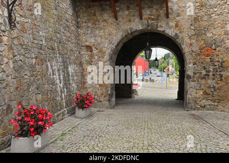 La porta di Varsavia e un frammento delle mura della città vecchia di Opatow. Foto Stock