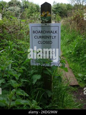 Cartello 'Boardwalk currently closed', The Lizard, Wymondham, Norfolk Foto Stock