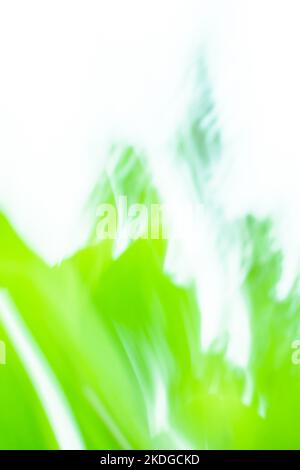 Acquerello colorato bellissimo sfondo astratto sfocato disegno. Acquerello sfocato fluido vivace multicolore vivace bokeh carta da parati. Foto Stock