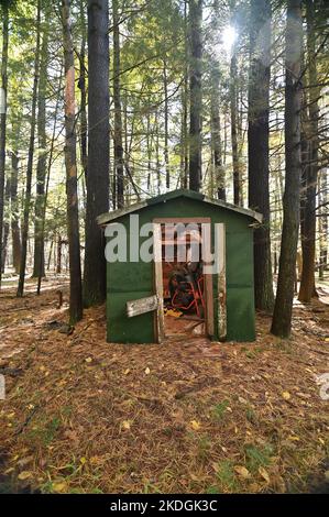 Casetta abbandonata in mezzo al bosco Foto Stock