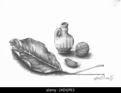 Disegno a matita di un gruppo di oggetti. Firmato. Arachidi, noce, un vaso piccolo e foglie di noce secca. Disegnato dal fotografo. Foto Stock