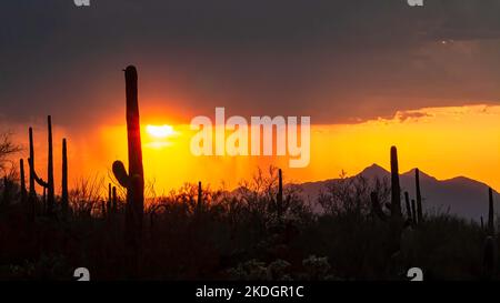 Arizona tramonto, pioggia estiva in calo in lontananza, Tucson, Arizona, USA Foto Stock